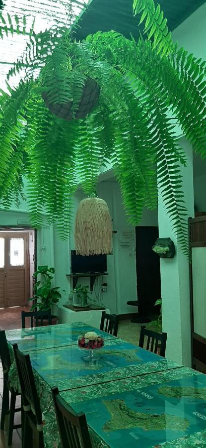 Vivienda Vacacional Sabinosa ภายนอก รูปภาพ